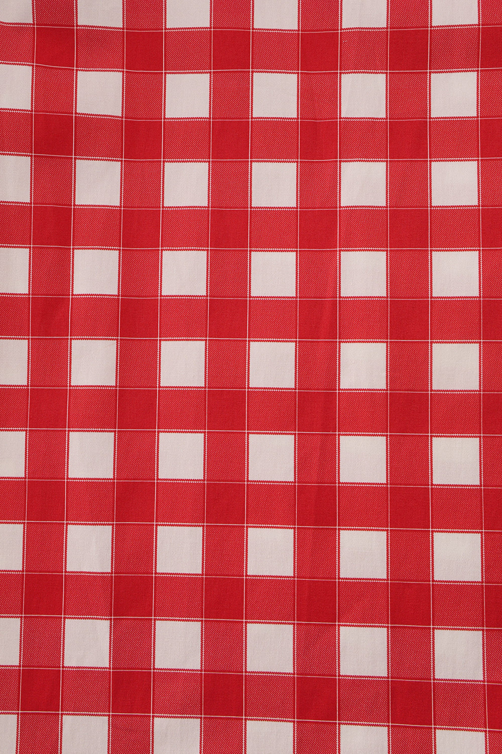 Print of Amanda Red Gingham Swing Dress