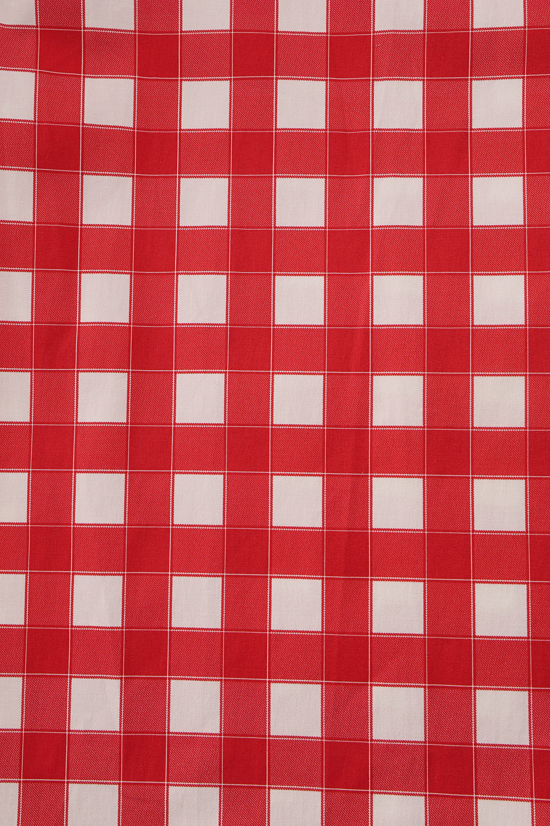 Print of Amanda Red Gingham Swing Dress