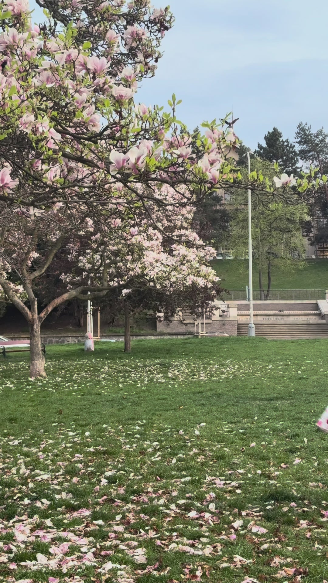 Video of a lovely lady in Daisy Roses on White Dress | Vintage Floral Dress