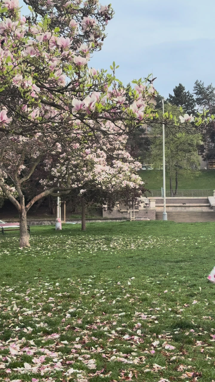 Video of a lovely lady in Daisy Roses on White Dress | Vintage Floral Dress